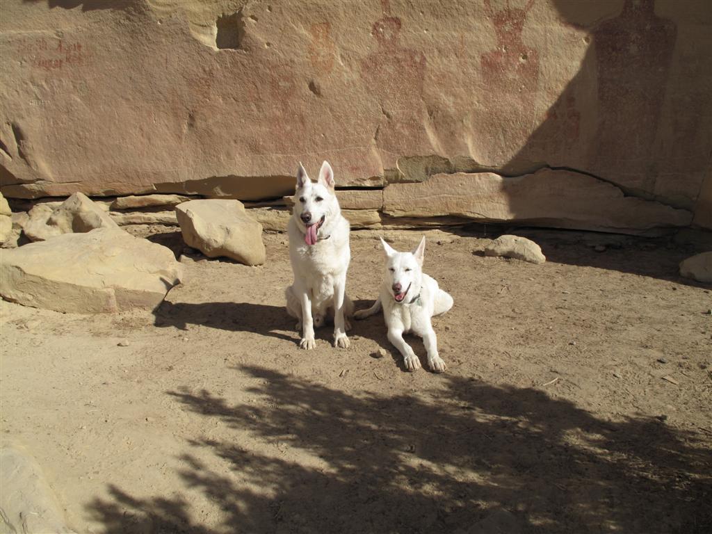 IMG_4222 (Large).JPG IMG_4222 (Large).JPG